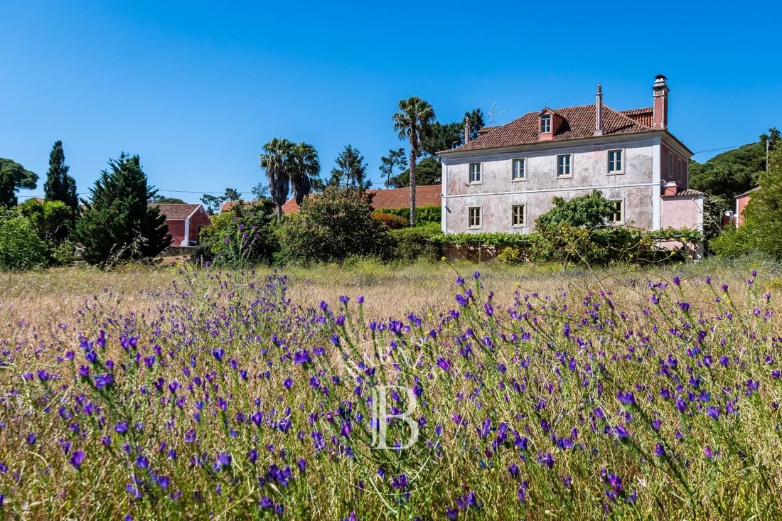 Farm Ranch in Colares, Lisbon, Portugal 1 - 18227758