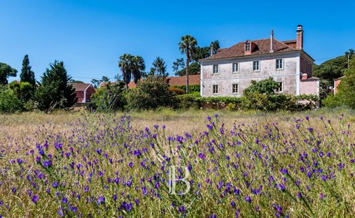 Rancho en Colares, Distrito de Lisboa, Portugal 1