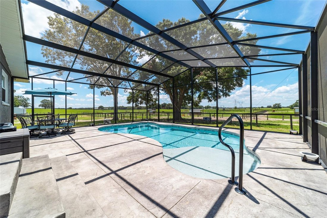 Farm Ranch in Wildwood, Florida, United States 3 - 18231834