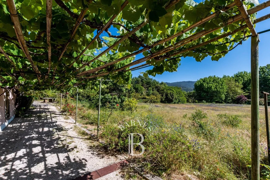 Farm Ranch in Colares, Lisbon, Portugal 4 - 18227758