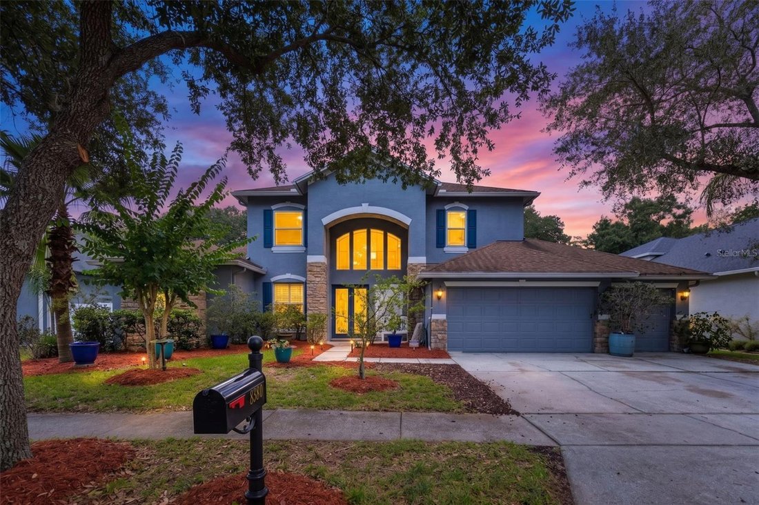 House in Tampa, Florida, United States 1 - 18233814