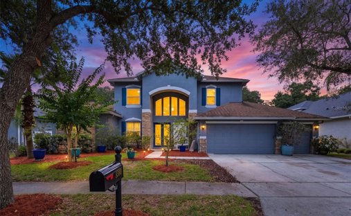 House in Tampa, Florida, United States 1