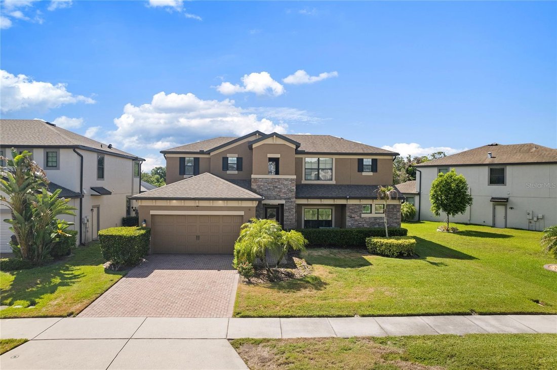 House in Oldsmar, Florida, United States 1 - 18230072