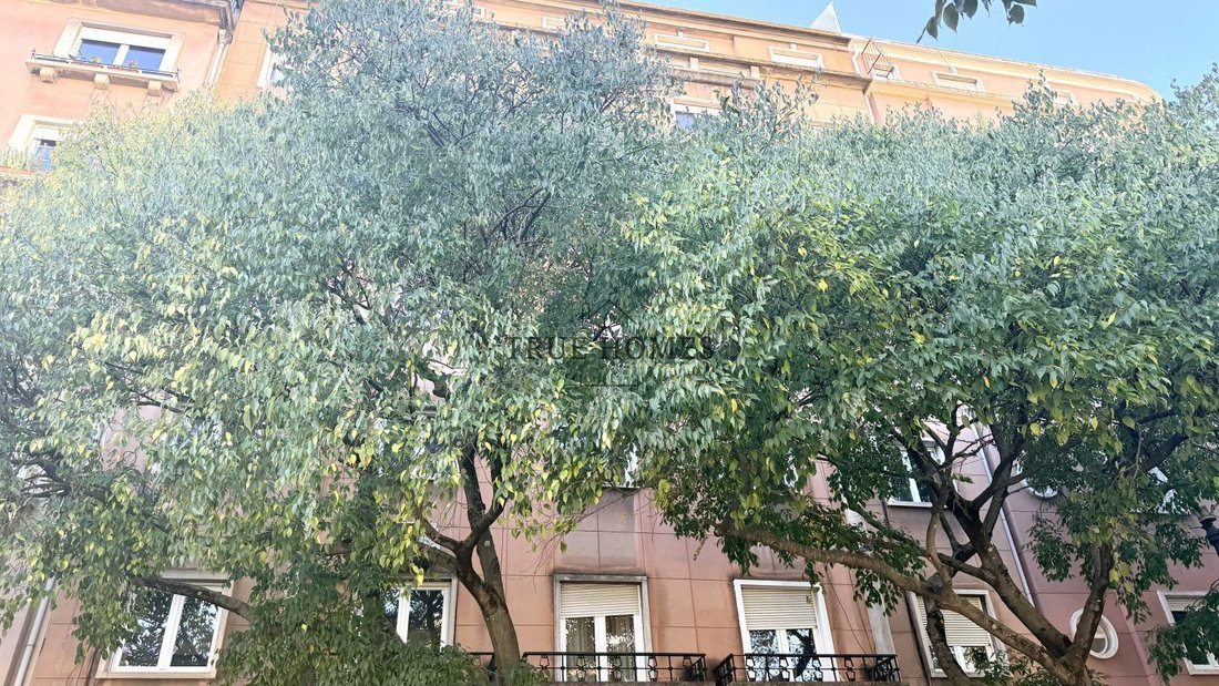 Apartment in Arroios, Lisbon, Portugal 1 - 18230709