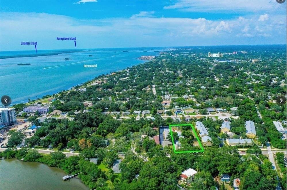 Clearwater, Florida, United States 4 - 18230611