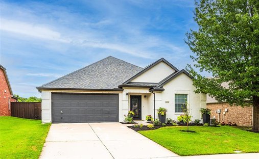 House in Frisco, Texas, United States 1