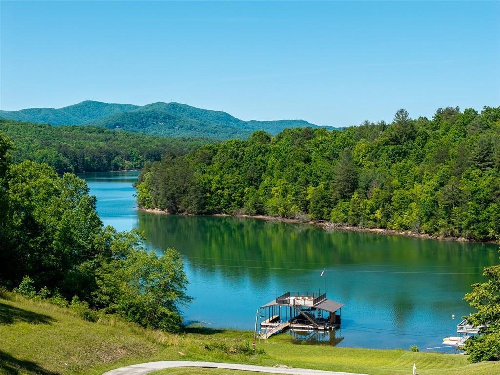 Land in Morganton, Georgia, United States 5 - 18223509