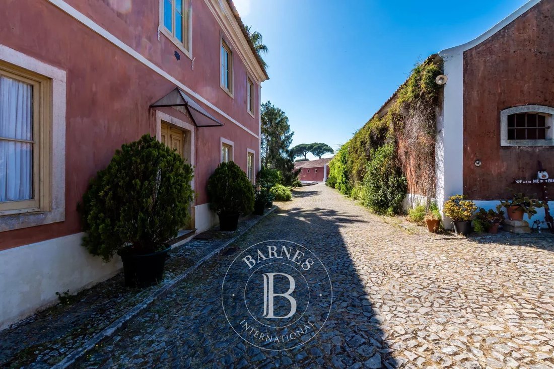 Farm Ranch in Colares, Lisbon, Portugal 5 - 18227758