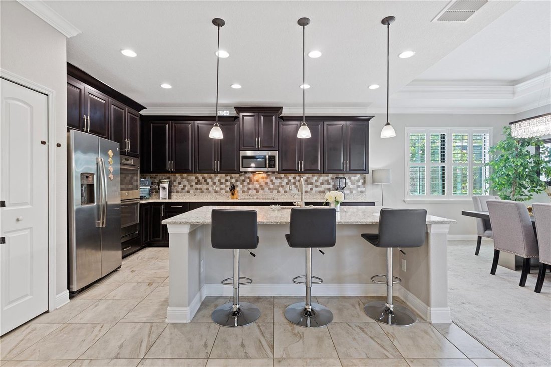 House in Oldsmar, Florida, United States 5 - 18230072