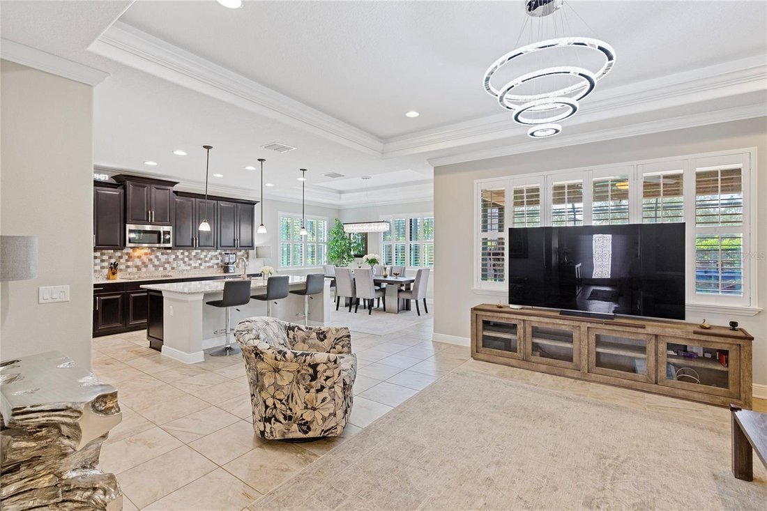 House in Oldsmar, Florida, United States 4 - 18230072