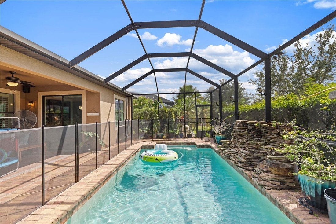 House in Oldsmar, Florida, United States 2 - 18230072