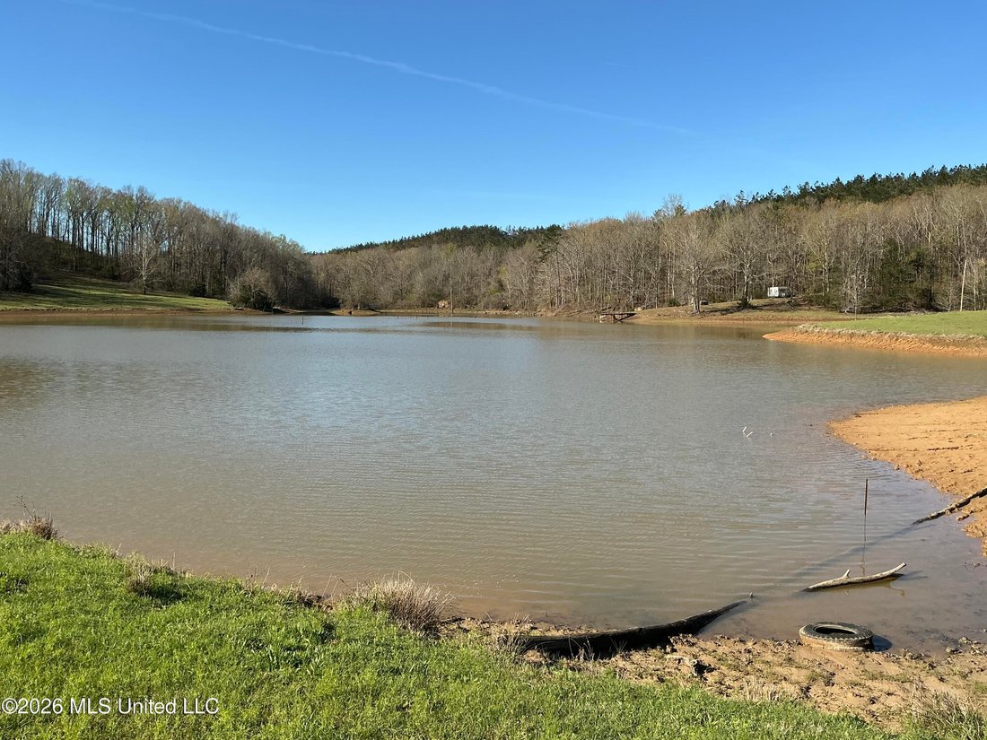 House in Duck Hill, Mississippi, United States 3 - 18233670