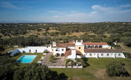 Tenuta a Monforte, Distretto di Portalegre, Portogallo 1