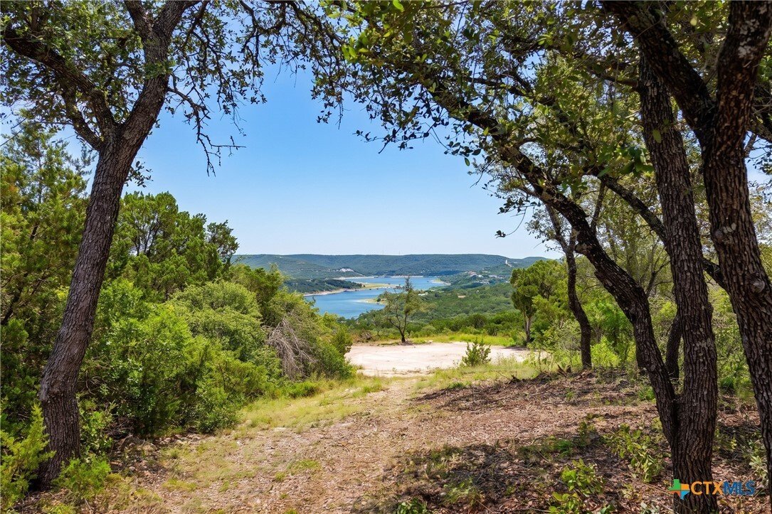 Farm Ranch in Jonestown, Texas, United States 1 - 18223612