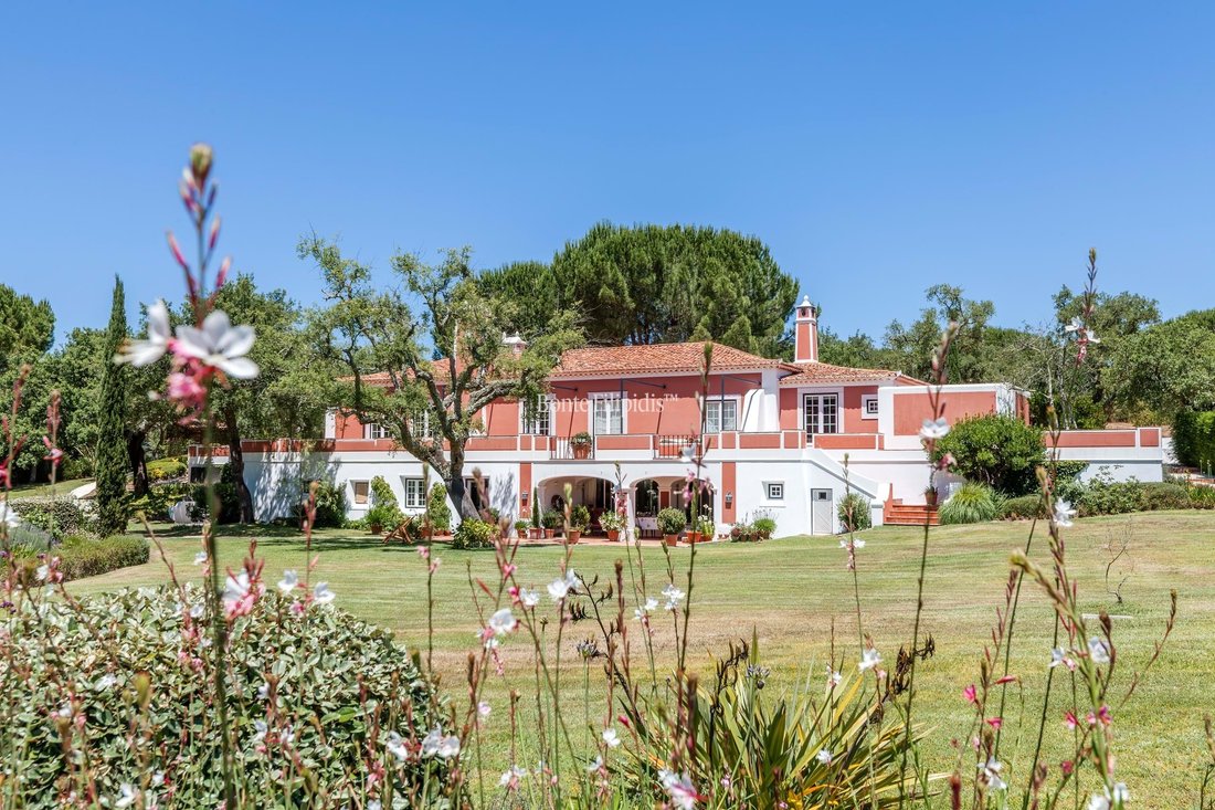 Farm Ranch in Santo Estevao, Santarem District, Portugal 1 - 18224602