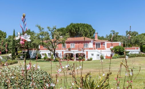 Azienda agricola a Santo Estevão, Distretto di Santarém, Portogallo 1