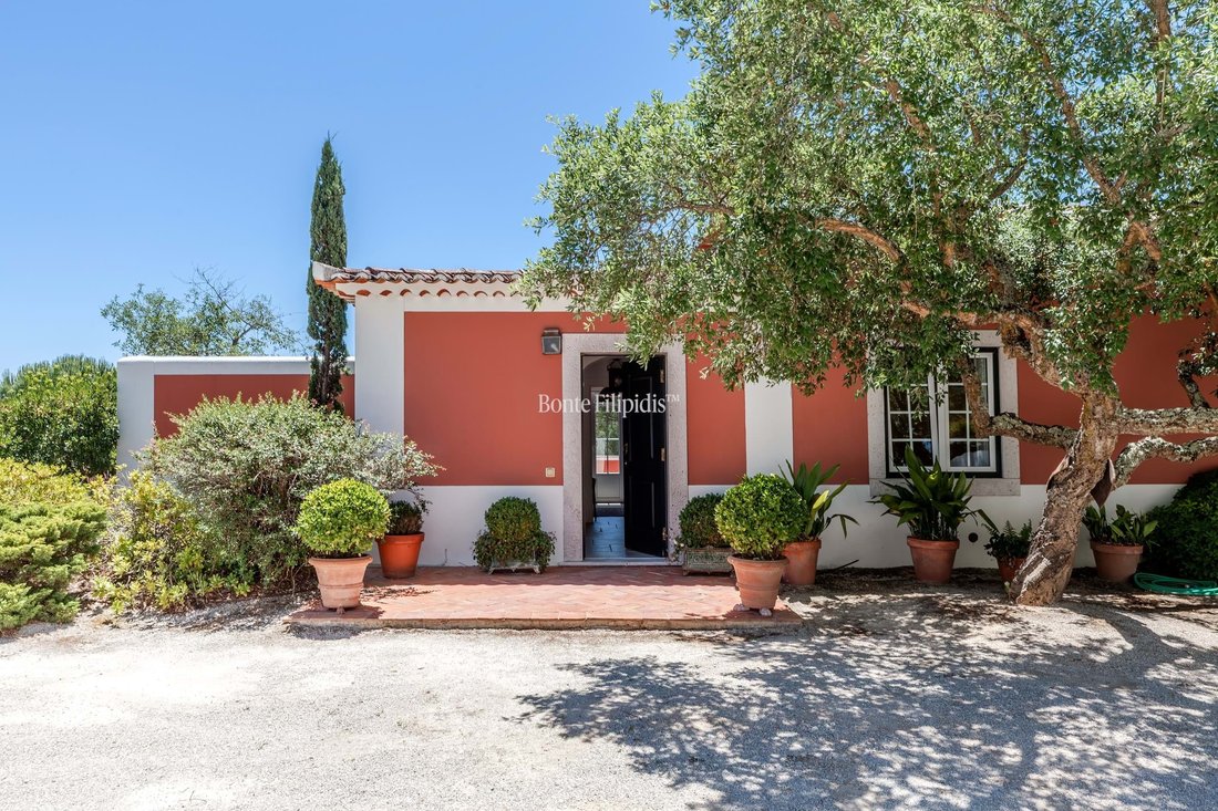Private Country Estate With Guest In Santo Estevao, Santarem District ...