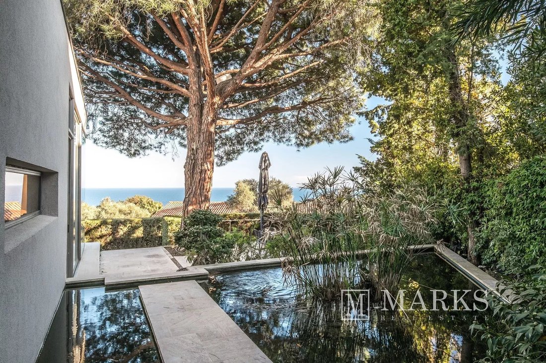 Villa in Saint-Jean-Cap-Ferrat, Provence-Alpes-Côte d'Azur, France 4 - 16021564