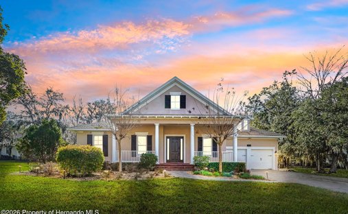 House in South Brooksville, Florida, United States 1