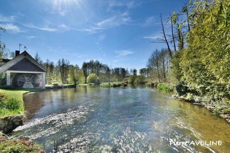House in Cloyes-sur-le-Loir, Cloyes-les-Trois-Rivieres, France 2 - 18224236