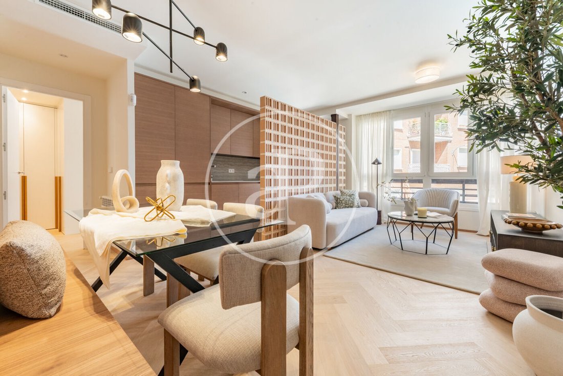 Apartment in Chamartín, Madrid, Spain 1 - 18230762