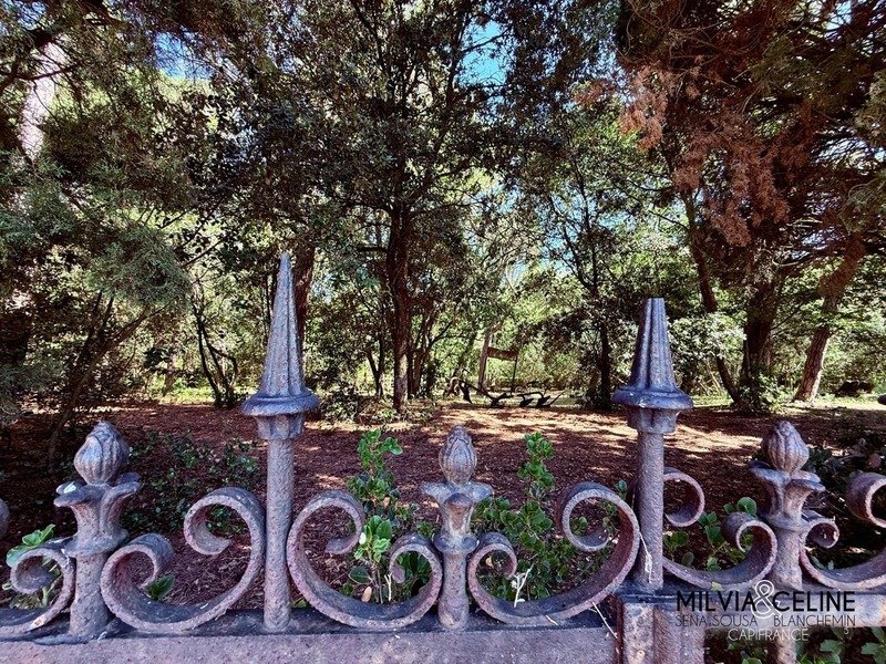 Casa a Carcassona, Occitania, Francia 4 - 18224142