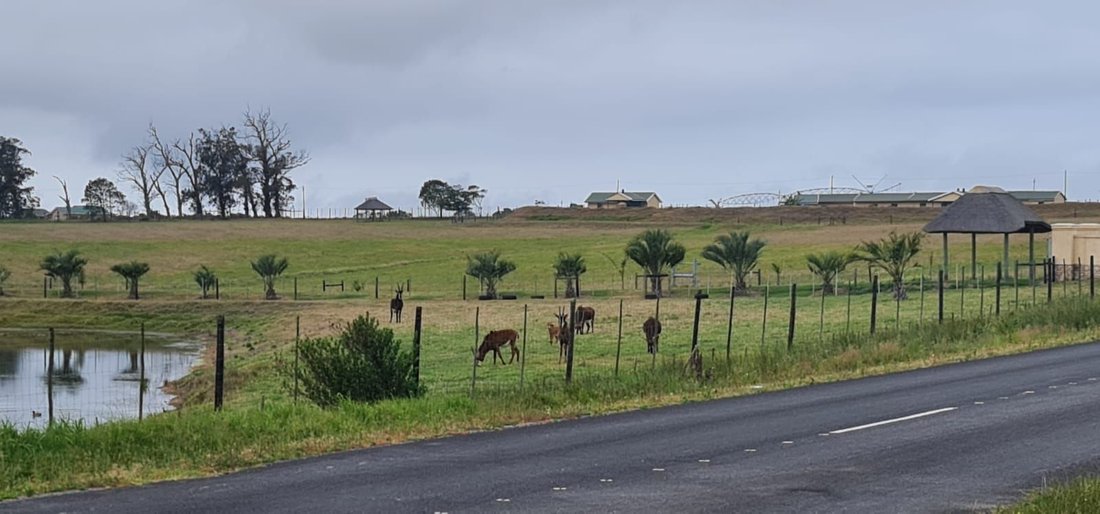 Farm Ranch in George, Western Cape, South Africa 4 - 18232200