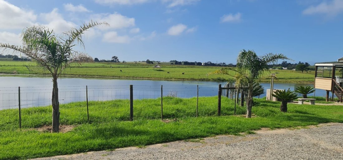 Farm Ranch in George, Western Cape, South Africa 5 - 18232200