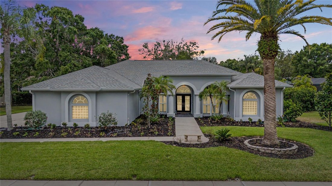 House in Palm Harbor, Florida, United States 1 - 18231828