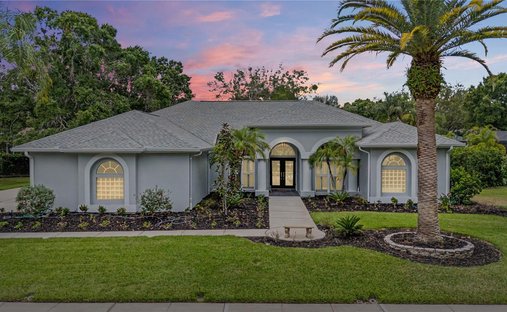Casa en Palm Harbor, Florida, Estados Unidos 1