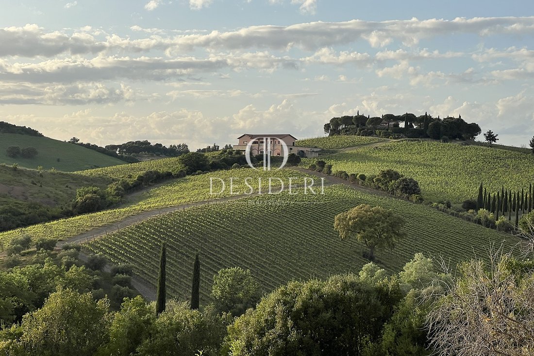 Estate in Magliano in Toscana, Tuscany, Italy 2 - 18229808