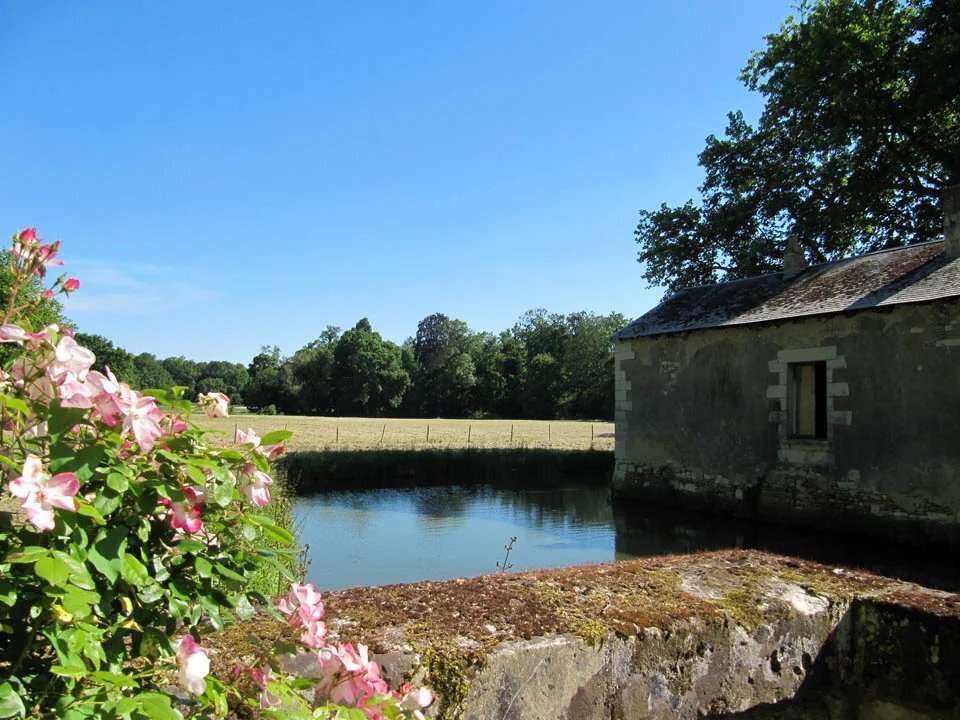 Castle in Poitiers, Nouvelle-Aquitaine, France 4 - 18227424