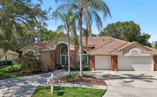 Casa a Tampa, Florida, Stati Uniti 1
