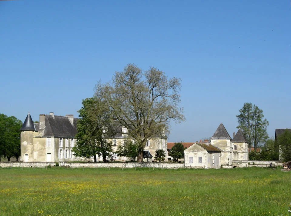 Castle in Poitiers, Nouvelle-Aquitaine, France 1 - 18227424