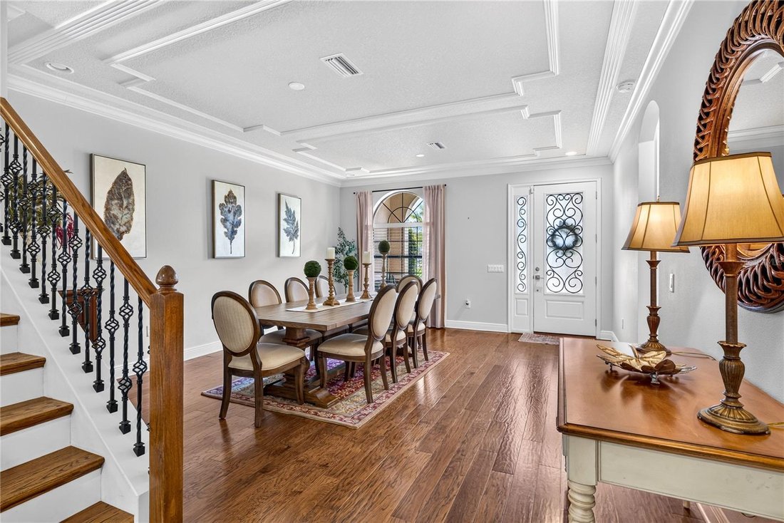 House in Land O' Lakes, Florida, United States 5 - 18226810