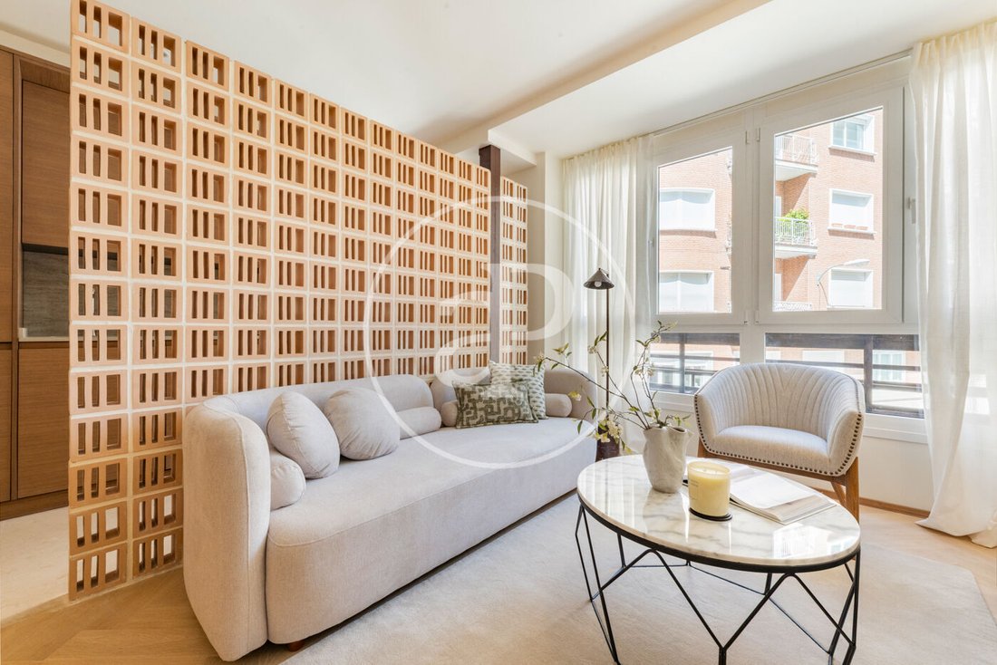 Apartment in Chamartín, Madrid, Spain 3 - 18230762