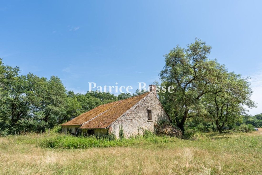 Land in Salbris, Zentrum-Loiretal, Frankreich 2 - 18225357