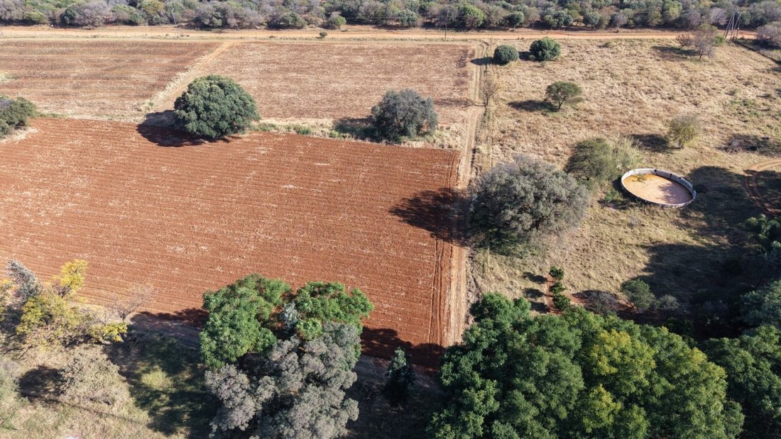 Farm Ranch in Bela-Bela, Limpopo, South Africa 5 - 18224567