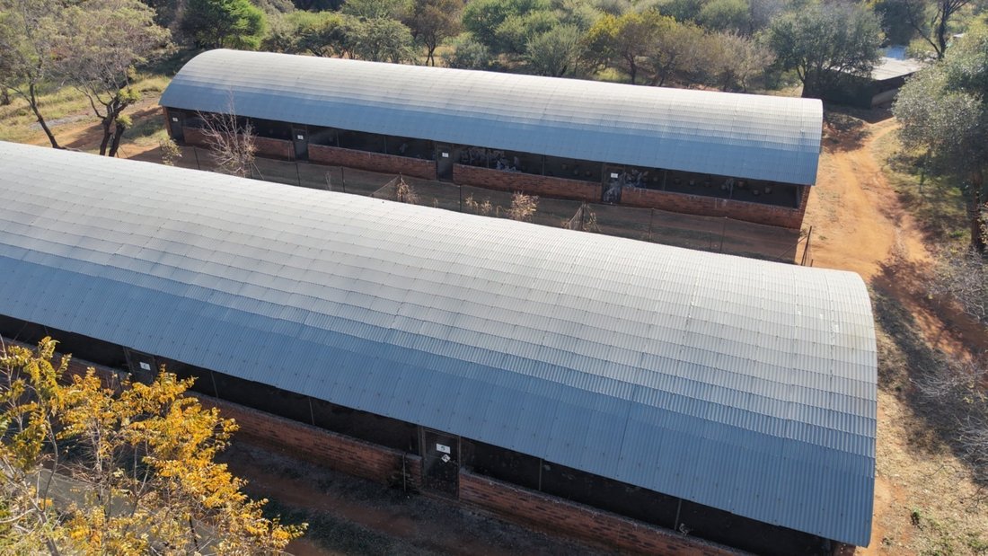 Farm Ranch in Bela-Bela, Limpopo, South Africa 2 - 18224567