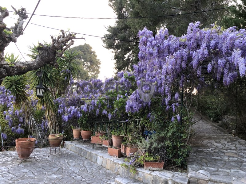 Country House in Skillountia, Peloponnese, Western Greece and the Ionian, Greece 2 - 18221325
