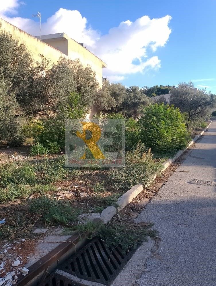 Land in Paiania, Attica, Greece 2 - 18232101