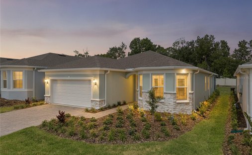 Haus in Minneola, Florida, Vereinigte Staaten 1