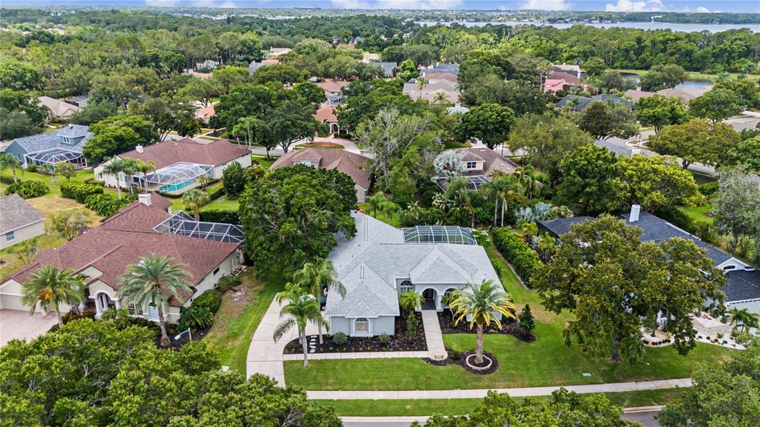 House in Palm Harbor, Florida, United States 3 - 18231828