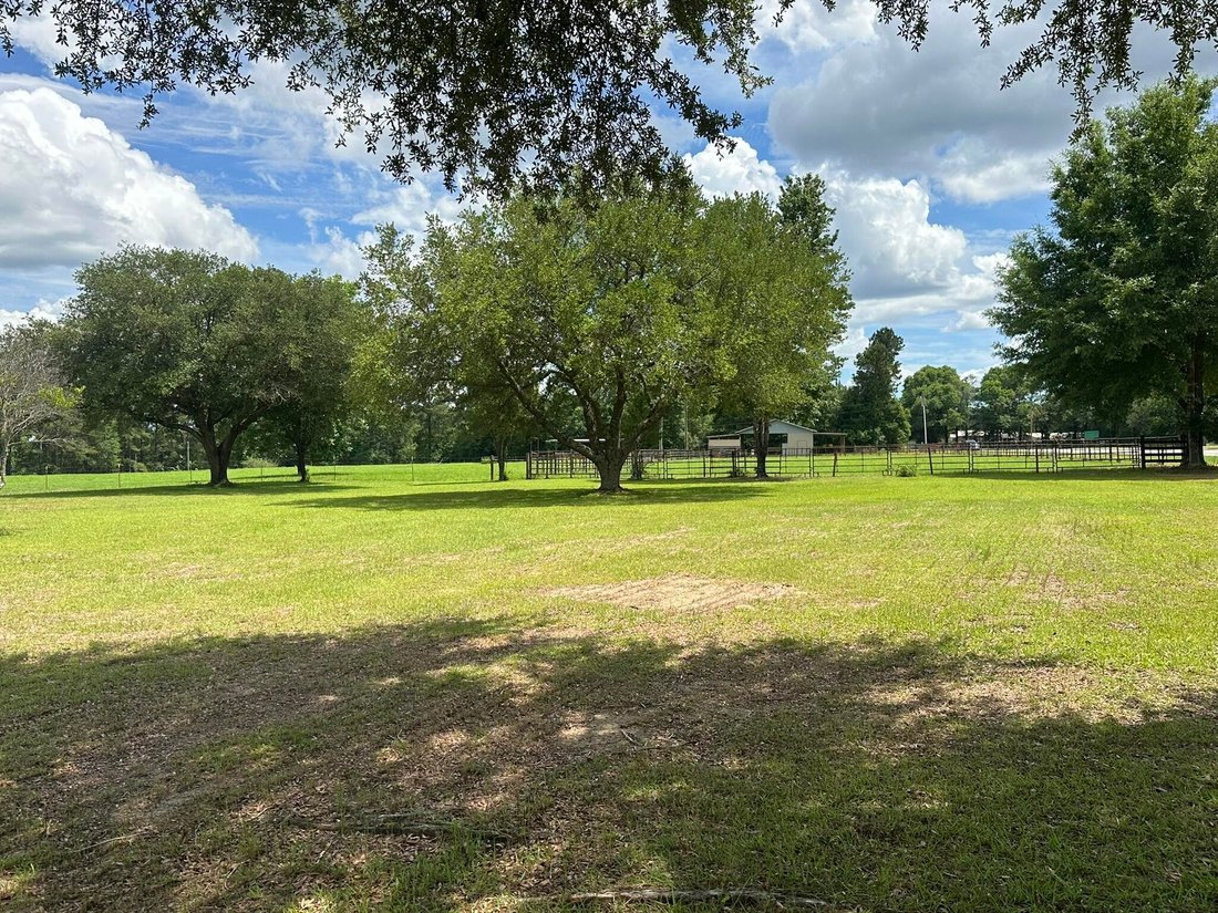 House in Florala, Alabama, United States 3 - 18225335