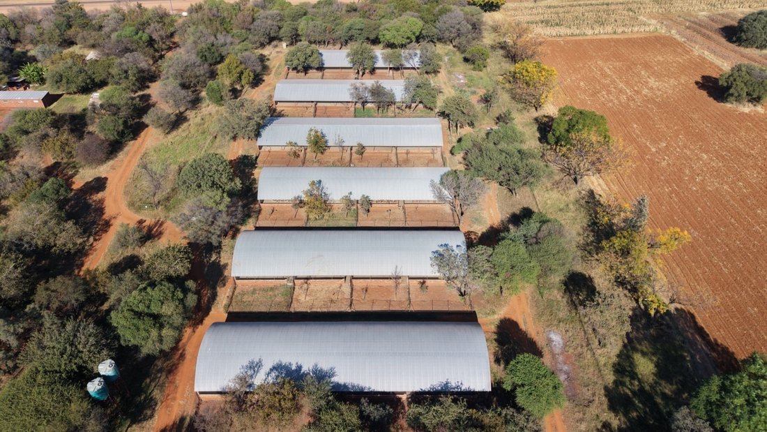 Farm Ranch in Bela-Bela, Limpopo, South Africa 1 - 18224567