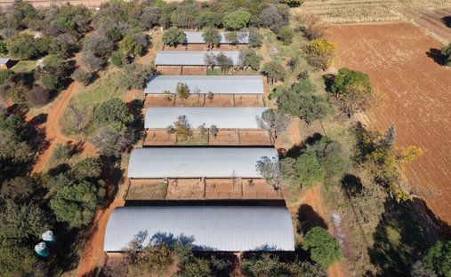 Azienda agricola a Bela-Bela, Limpopo, Sudafrica 1