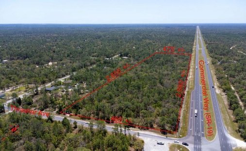 Land in South Brooksville, Florida, United States 1