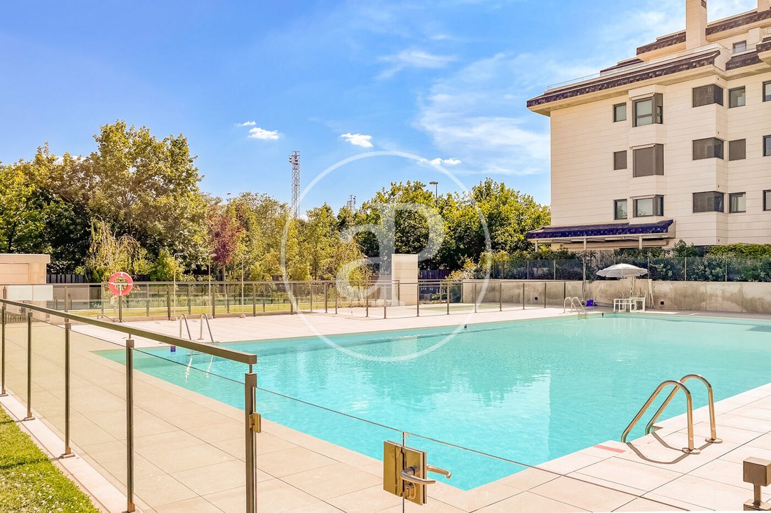 Apartment in La Moraleja, Alcobendas, Comunidad de Madrid 1 - 18230782
