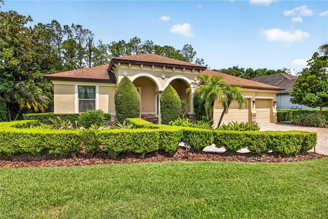 House in Land O' Lakes, Florida, United States 3 - 18226810