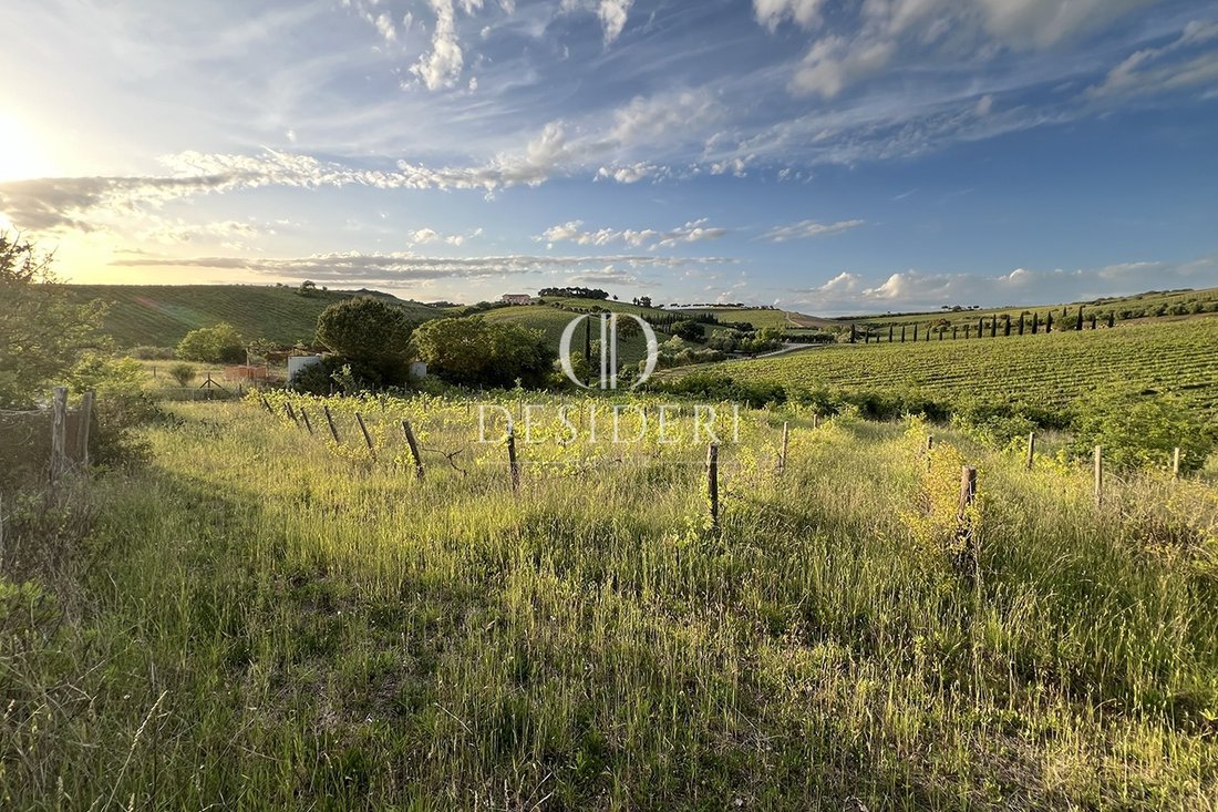 Estate in Magliano in Toscana, Tuscany, Italy 1 - 18229808